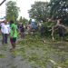BPBD Imbau Warga Waspada Musim Penghujan