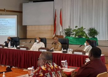 Filep : UU Pembentukan PBD  Sedang Digodok