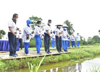 Ketahanan Pangan, Tabur Benih Ikan Nila