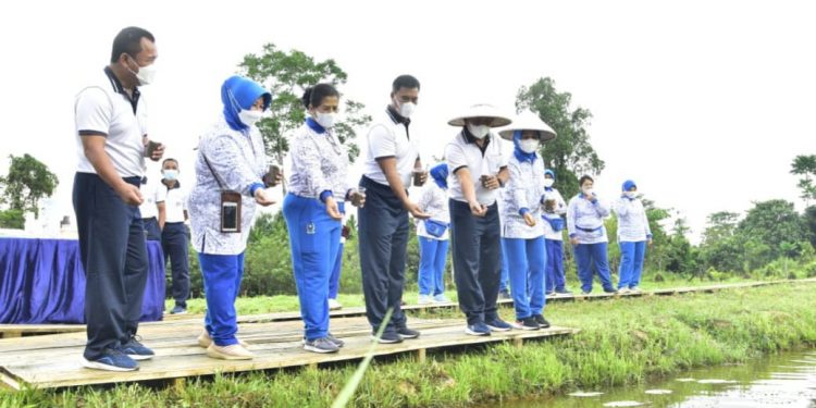 Ketahanan Pangan, Tabur Benih Ikan Nila