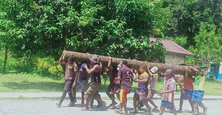 Bangun Jembatan dari Batang Kelapa