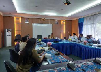 PLN Bakal Hadirkan PLTS di Daerah 3T