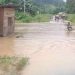 Wilayah Dua Distrik di Tambrauw Terendam Banjir