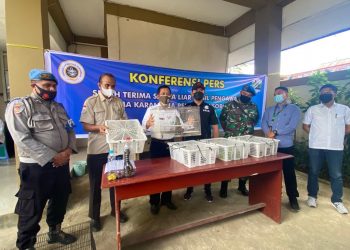 15 Ular Sanca Hijau Gagal Diselundupkan