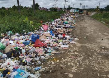Sampah Numpuk dan Mengular, Dinas PPLH Sapu Bersih