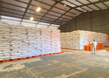 Stok Beras Sorong Raya Aman hingga 4.6 Bulan