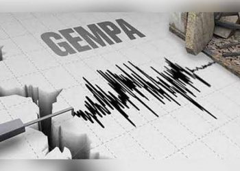Pagi-Pagi Warga Kota Sorong Diguncang Gempa  4,8 SR