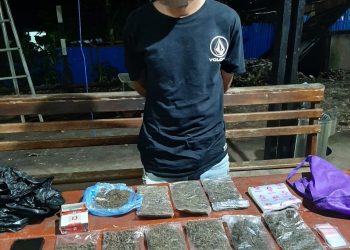 Pemilik Sembilan Paket Ganja Ditangkap Polisi