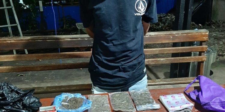 Pemilik Sembilan Paket Ganja Ditangkap Polisi