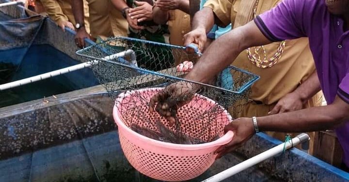 Jadilah Bagian Membangun Kabupaten Sorong