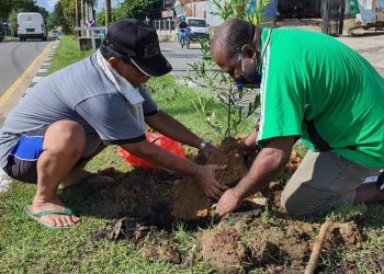 Tanam Pohon Indikator Kesehatan Warga Kota