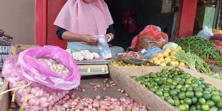Stok ‘Kering’, Bawang Merah Tembus Rp 100.000/Kg
