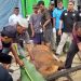 Ikaswara Qurban 42 Ekor Sapi dan 2 Ekor Kambing