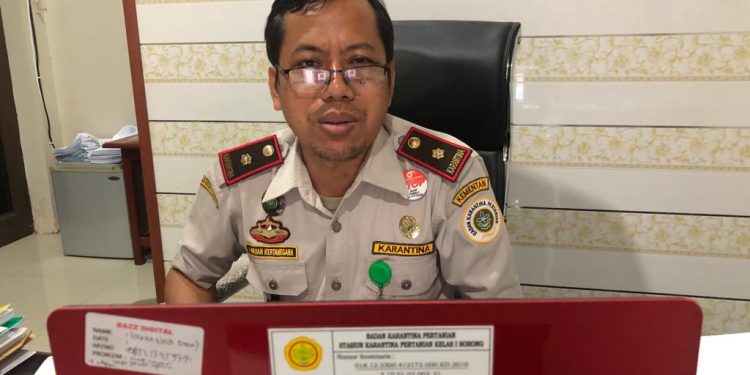 390 Hewan Kurban Masuk Sorong