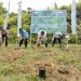 BRI Cabang Sorong-Regional Office BRI Jayapura Tanam 4.000 Pohon