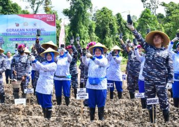Pasmar 3 Sukseskan Gerakan Nasional Penanaman Sorgum