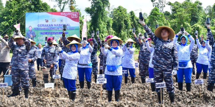Pasmar 3 Sukseskan Gerakan Nasional Penanaman Sorgum