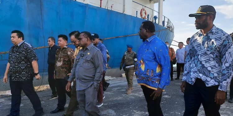 KEK Sorong jadi Primadona, China Siap Investasi Smelter Nikel