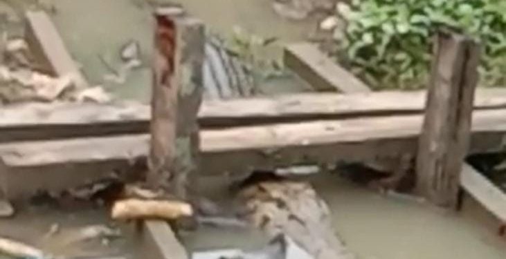 Buaya yang muncul di kali kecil permukiman warga Kelurahan Matawolot Distrik Salawati, Kabupaten Sorong.