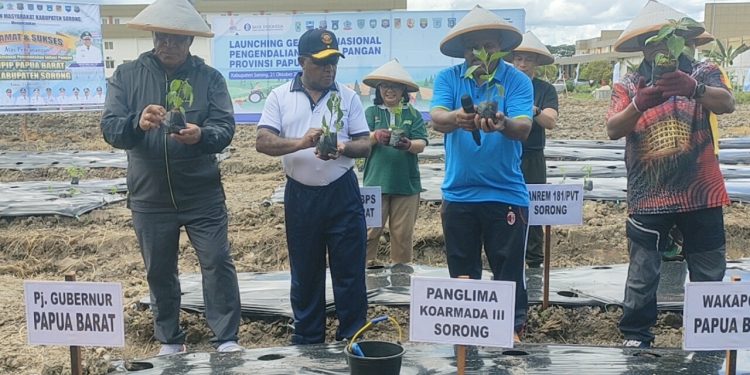 Tanam 1000 Bibit Cabai Kendalikan Inflasi Pangan