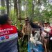 Belasan Satwa Dilindungi Dilepasliarkan