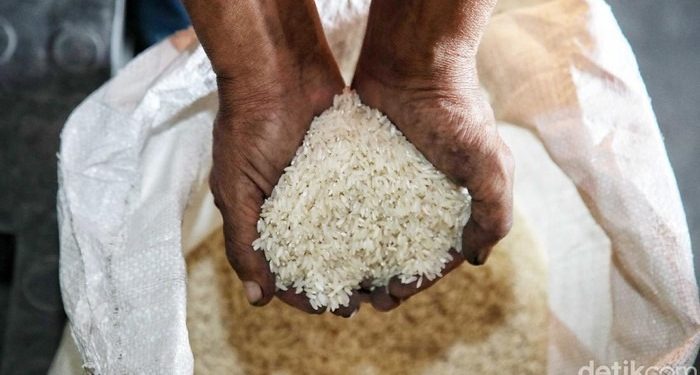 RI Impor 326.000 Ton Beras, Mayoritas buat Pakan Ternak