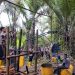 Sisir Hutan Mayamuk, Tempat Penyulingan CT Dimusnahkan