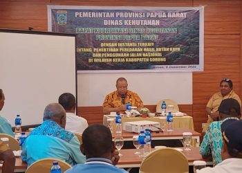 Gubernur Instruksikan Aktivitas Perusahaan Kayu di Kabupaten Sorong Dihentikan