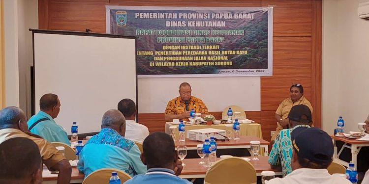 Gubernur Instruksikan Aktivitas Perusahaan Kayu di Kabupaten Sorong Dihentikan