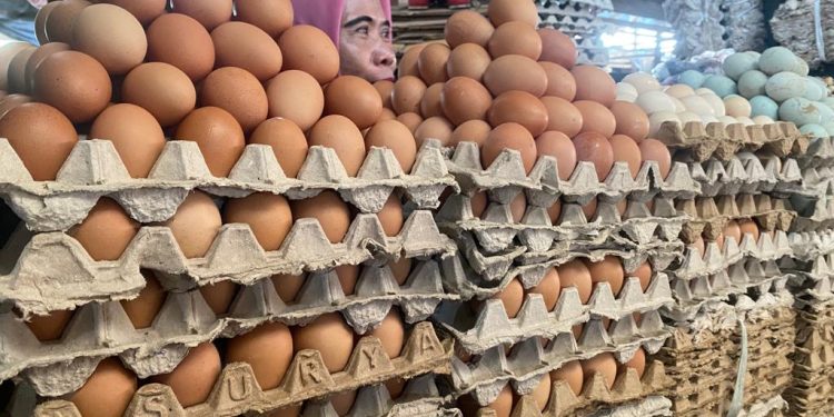 Jelang Natal, Harga Telur Surabaya Naik