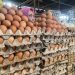 Jelang Natal, Harga Telur Surabaya Naik