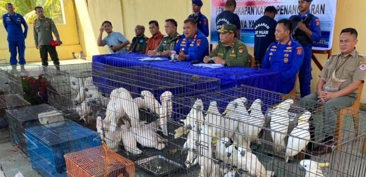 2 Penampung 98 Ekor Satwa Dilindungi Ditangkap Polisi
