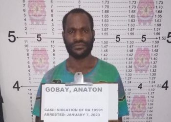 Rekening Pilot WNI Anton Gobay Dibekukan PPATK Usai Ditangkap di Filipina