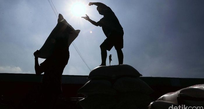 Keberatan Disebut Tukang Impor, Zulhas: Nyatanya Beras di Bulog Habis!