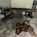 Diduga Terlibat Judi Sabung Ayam, 7 Pelaku Diamankan