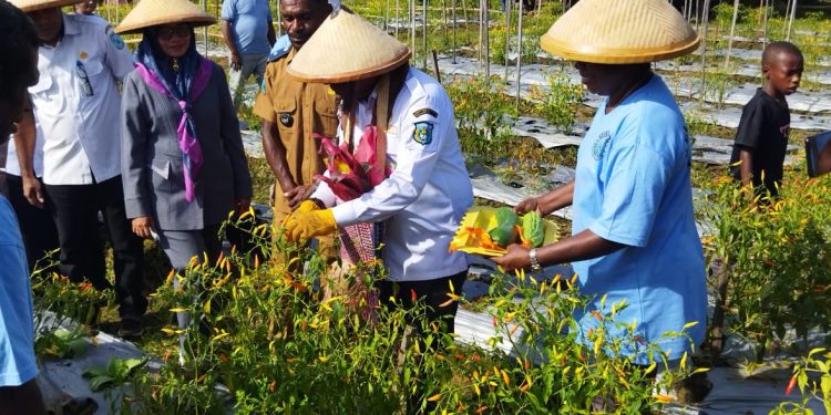 Pj Bupati Sorong Minta Jangan Datangkan Sayur dari Luar Daerah