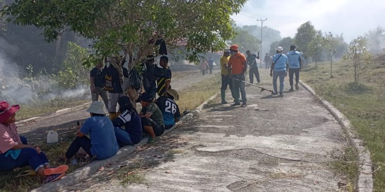Pegawai Pemprov Papua Barat Bersihkan Pulau Mansinam