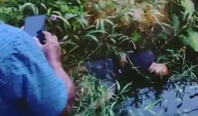 Motor Tabrak Pohon, Dua Orang Tewas