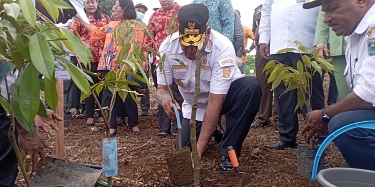 Papua Barat Wakili Tanah Papua Penanaman 1.000 Pohon bersama Ibu Negara