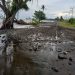 Pemerintah harus Intervensi Pesisir Pantai Maruni