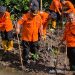 Usia ke 51, Sar Harus Respon Time