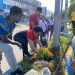 Percantik Wajah Kota, Dinas PPPA Tanam Bunga Bougenville