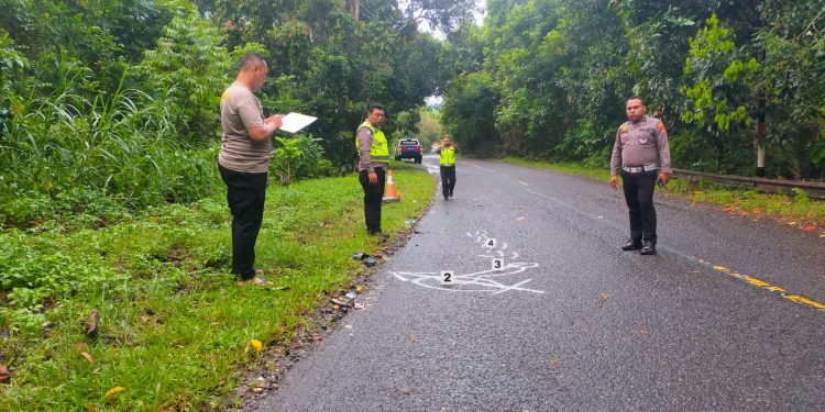 Laka Tunggal di Trans Manokwari-Sorong, Satu Orang Tewas