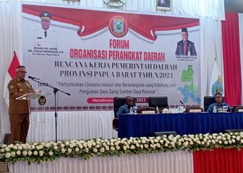 Waterpauw Minta Sinkronisasi RKPD Antara Provinsi dengan Kabupaten