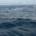KM Anugrah 13 Tenggelam, 4 Korban Berhasil Diselamatkan