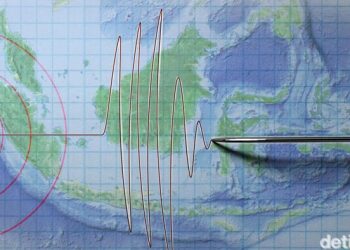 Gempa M 7,9 Guncang Keerom Papua