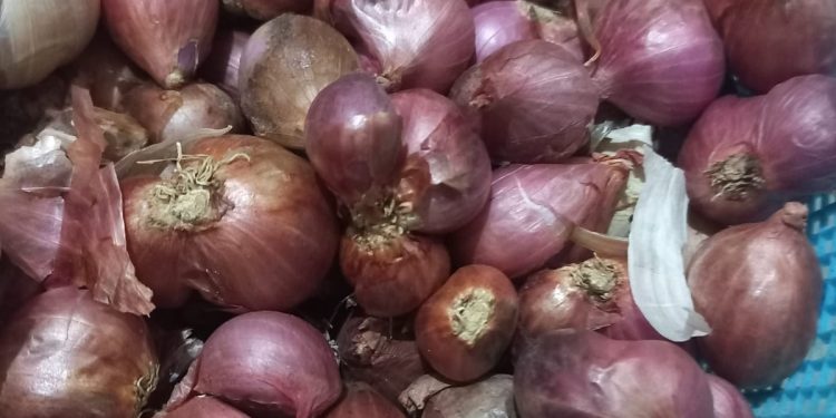 Sempat Tembus 100.000/Kg, Harga Bawang Merah Berangsur Stabil