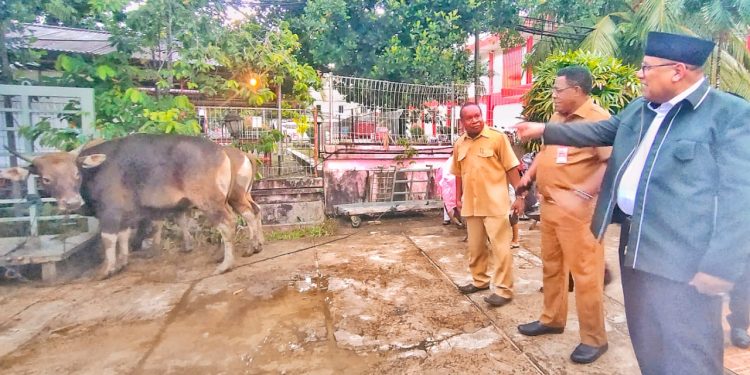 Idul Adha, Pemprov PBD Sumbang 75 Ekor Sapi Qurban