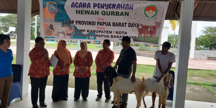 DWP PBD Kurban 12 Ekor Kambing