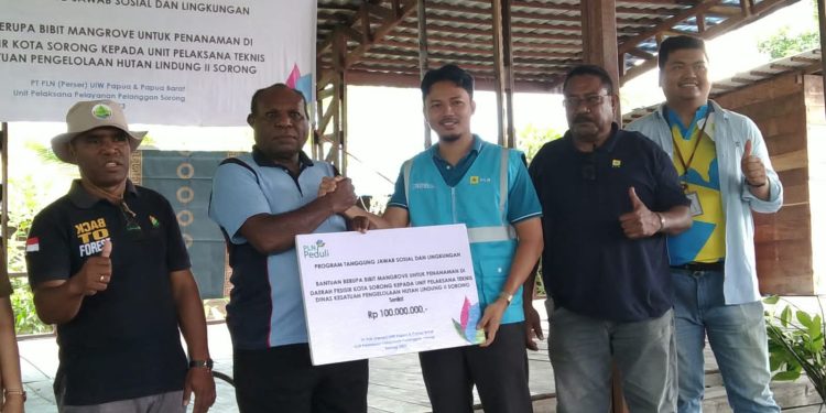 PLN UP3 Sorong Berikan Bantuan 5.000 Bibit Mangrove